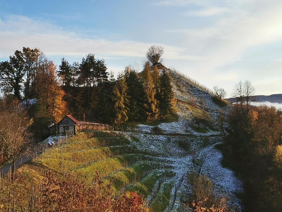 Hill Cottage Haloze Gruskovec Eksteriør billede
